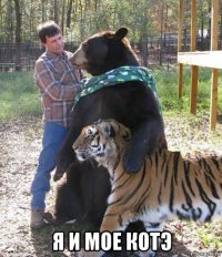  я и мое котэ