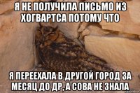 я не получила письмо из хогвартса потому что я переехала в другой город за месяц до др, а сова не знала