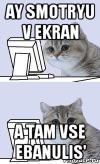ay smotryu v ekran a tam vse ebanulis'