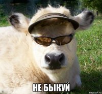  не быкуй