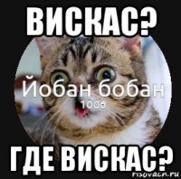 вискас? где вискас?