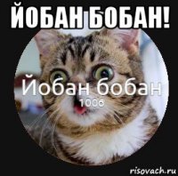 йобан бобан! 