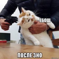  после зно