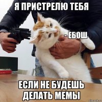 я пристрелю тебя если не будешь делать мемы