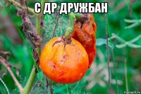 с др дружбан 