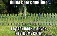 йшла собі спокійно і вдарилась в якусь невідому силу