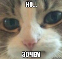 но... зочем