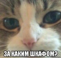 за каким шкафом?