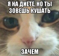 я на диете, но ты зовешь кушать зачем