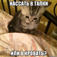 нассать в тапки или в кровать?