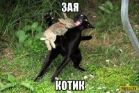 зая котик