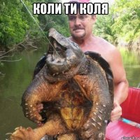 коли ти коля 