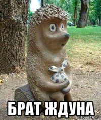  брат ждуна
