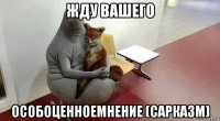 жду вашего особоценноемнение (сарказм)