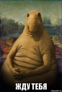  жду тебя