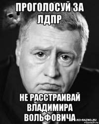 проголосуй за лдпр не расстраивай владимира вольфовича