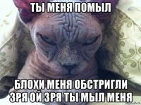 ты меня помыл блохи меня обстригли зря ой зря ты мыл меня