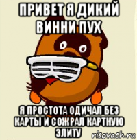 привет я дикий винни пух я простота одичал без карты и сожрал картную элиту