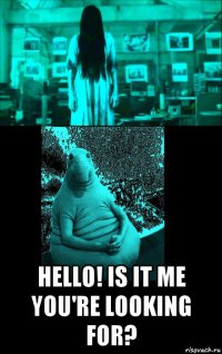  hello! is it me you're looking for?