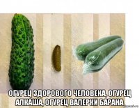  огурец здорового человека, огурец алкаша, огурец валерки барана