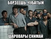 борзеешь, чубатый шаровары снимай