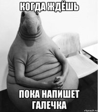 когда ждёшь пока напишет галечка