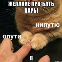 желание про*бать пары я