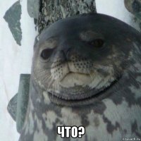  что?