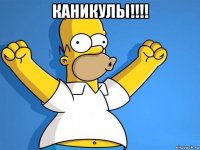 каникулы!!!! 