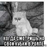  когда смотришь на свои кубки в рояле