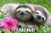  спасибо!