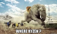  where ryzen ?