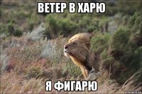 ветер в харю я фигарю