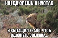 когда срешь в кустах и вытащил ебало, чтоб вдохнуть свежака...