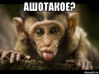 ашотакое? 