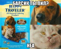 барсик ты пил? неа