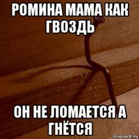 ромина мама как гвоздь он не ломается а гнётся