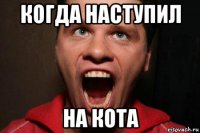 когда наступил на кота
