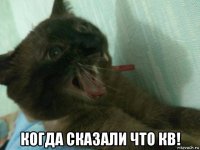  когда сказали что кв!