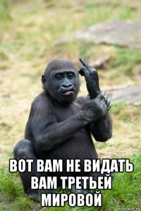  вот вам не видать вам третьей мировой