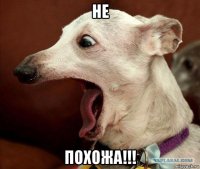 не похожа!!!