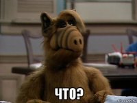  что?