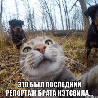  это был последний репортаж брата кэтсвила...
