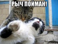 рыч пойман! 