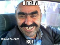 я пешу кот