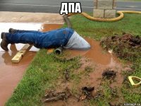 дпа 