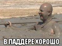  в ладдере хорошо