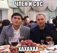 член и сос хахахаа