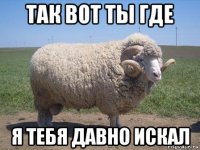 так вот ты где я тебя давно искал