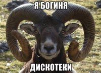я богиня дискотеки